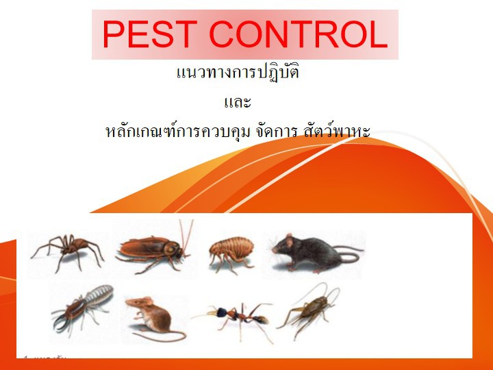 Online by Zoom หลักสูตร หลักสูตร การบริหารจัดการ การควบคุมแมลงและ สัตว์พาหะนำโรค (PEST Control and Management)