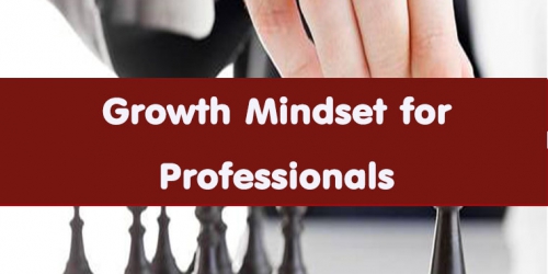 Growth Mindset for Professionals (อบรม 22 พ.ค.66)
