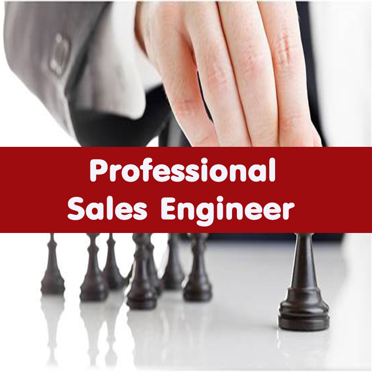 Sales Engineer มืออาชีพ (Professional Sales Engineer)